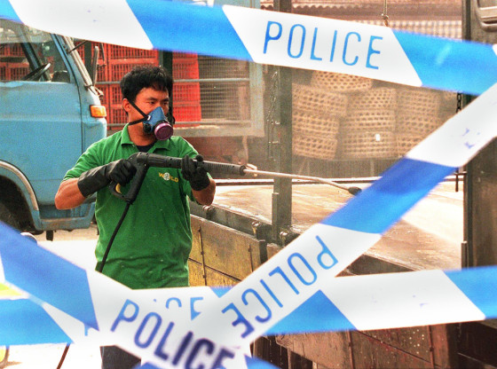 TO GO WITH STORY 22ND SEPT (FILES) This