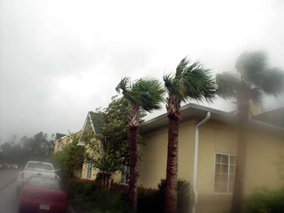 Strong winds and rain from Hurricane Katrina bend trees in Pensacola, Fla., on Aug. 29.