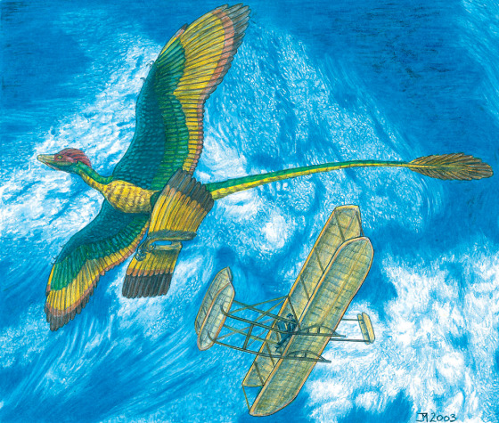 This illustration presents a parallel between Microraptor gui's two sets of wings and the Wright brothers' biplane.