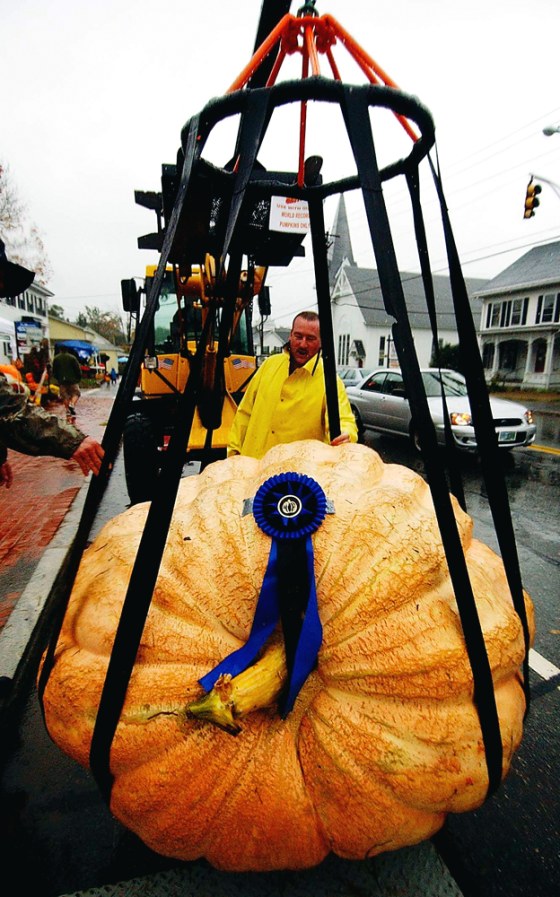 Jim Beauchemin's mammoth pumpkin is moved back to its display after being weighed during Goffstown's Pumpkin Festival.