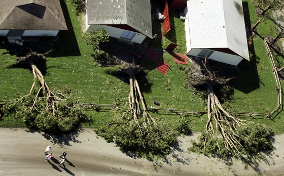 A group of people walks past downed trees Tuesday after Hurricane Wilma came through the Fort Lauderdale, Fla., area. Monday's storm caused billions in damage and killed at least five people.