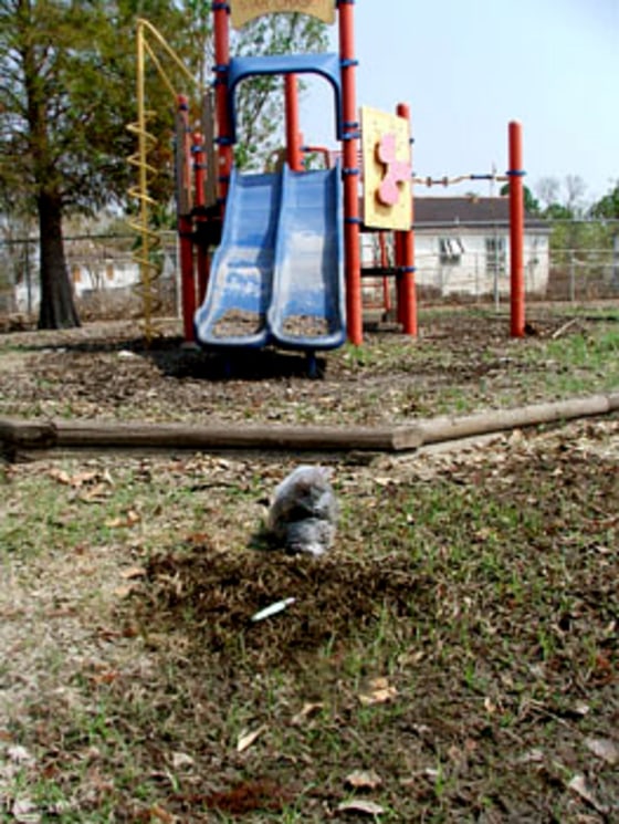 Heavy metals were found in this playground at an elementary school in Chalmette, La., according to testing funded by activist groups.