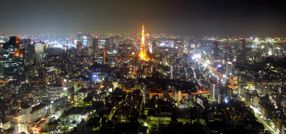 Tokyo from the Sky