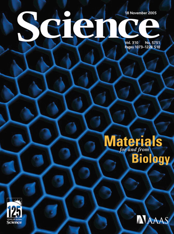 The cover of the journal Science features an up-close look at an artificial compound eye. The honeycomb structure is an array of mini-lenses, each of which is hooked up to a device for transmitting the incoming light signal to a central processor.