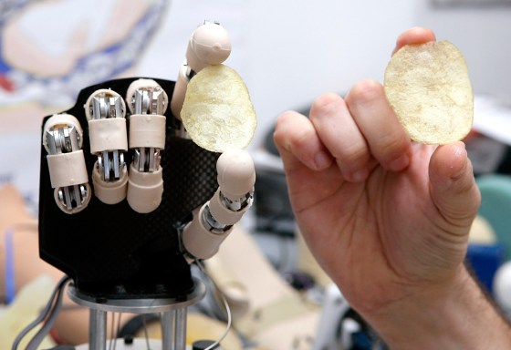 A model of Cyberhand and a human hand hold a potato chip in the ArtsLab laboratory of the Polo Sant'Anna Valdera institute in the central Italian town of Pontedera, Italy.