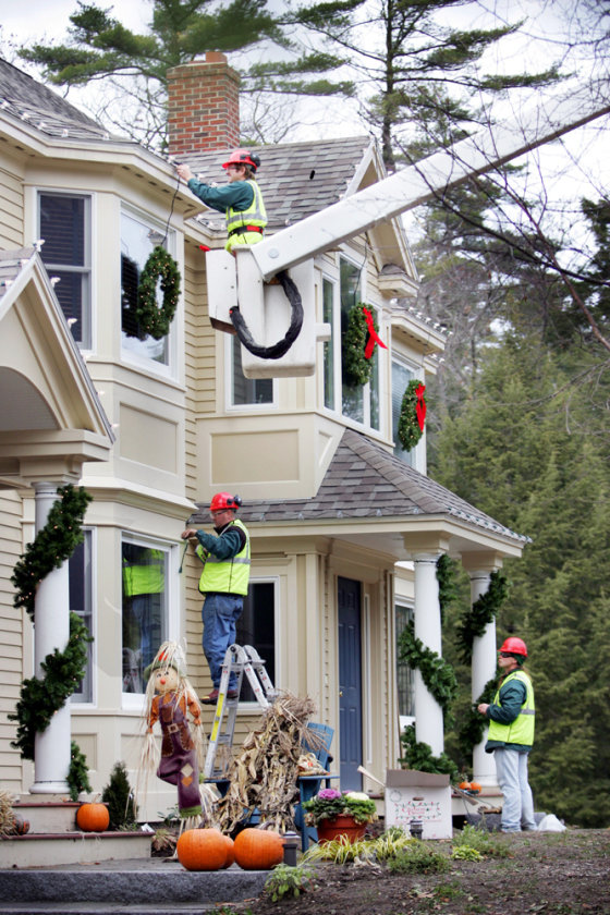 PEACOCK CRISCITELLI BENDIKSEN