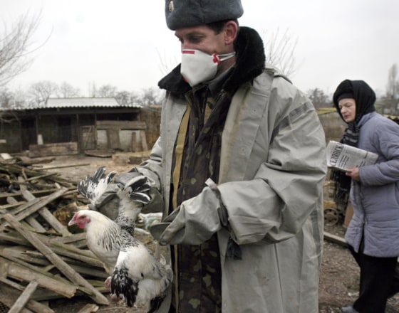 An Ukrainian Emergency Ministry worker takes domestic fowl away from a farm in the village of Dmitrovka some 500 miles south of the capital Kiev on Dec. 12.