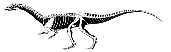 Undated illustration of newly discovered early crocodile-like reptile