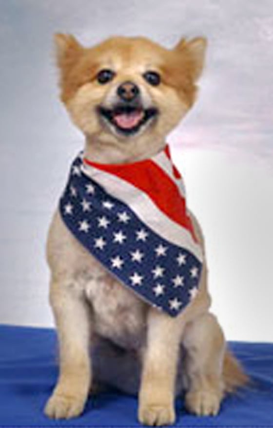 Franz, a Pomeranian, died Monday.