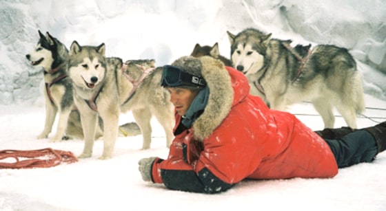 Still photographs of \"Eight Below\", Paul Walker (I)