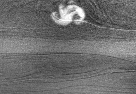 The image shows the storm as it appeared to the Cassini imaging system on Jan. 27. No lightning flashes are visible in the image. They would look like medium-sized bright spots, because the light would spread out before it reaches the cloud tops. Non-detection does not mean that the lightning is absent, however. Lightning might be too faint to stand out above background or too deep to be seen through the thick clouds.