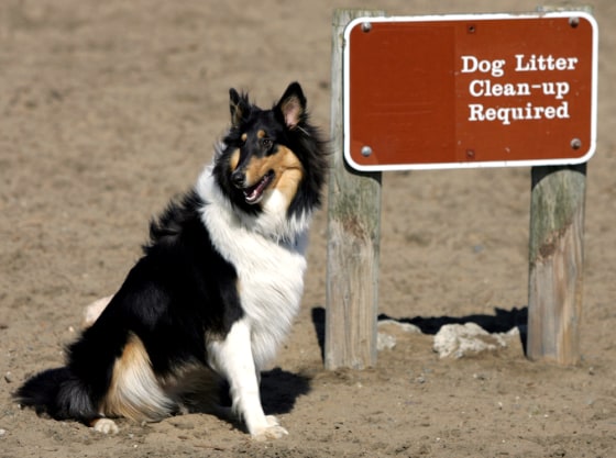 FORT FUNSTON EMMA