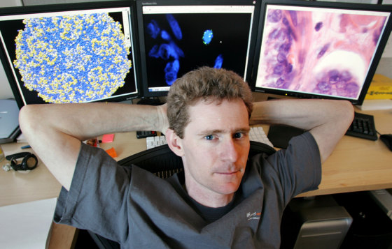 DERISI VIRUS UNIVERSITY OF CALIFORNIA SAN FRANCISCO