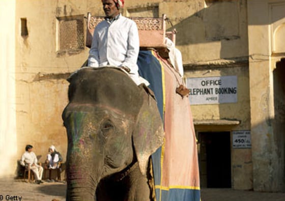 Ride an elephant in Delhi