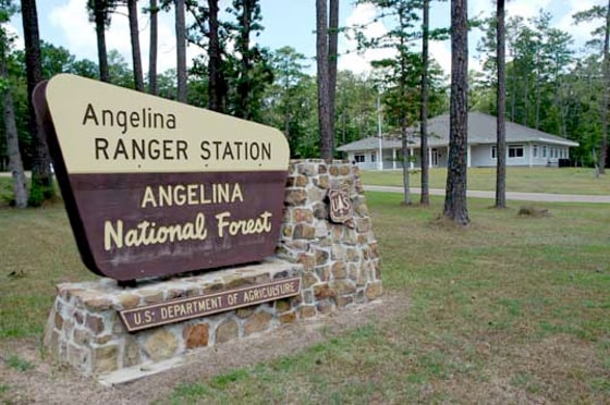 Angelina National Forest in Texas is one of dozen of national forests where isolated tracts might be sold to help fund rural schools. In Angelina's case, 300 acres have been earmarked for possible sale.