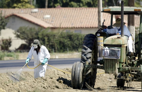 Bread and Oil: California's Central Valley