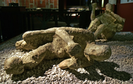 POMPEII EXHIBIT