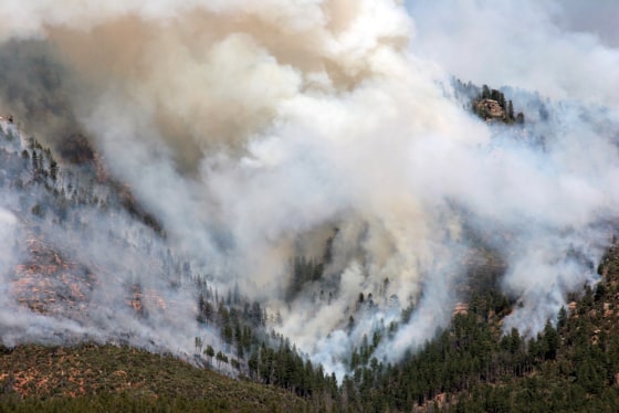 TONTO NATIONAL FOREST