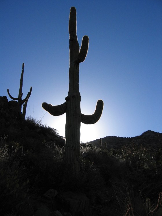 Head to Tucson for some pampering with the Rejuvenation Spa package, at the You'll get an aromatherapy welcome gift and two 60-minute basic spa treatments, from $457 per room per night.