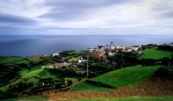 Town Surrounded by Green Fields