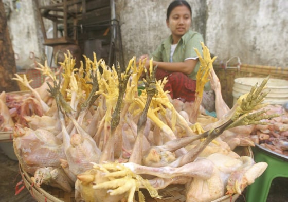 MYANMAR BIRD FLU FIRST OUTBREAK MARKET