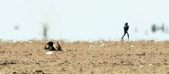 Drought Hit Kenya Heading For Humanitarian Crisis