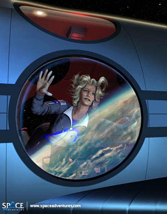 Paying suborbital space passengers may be able to get the perspective shown in this artist's conception as early as 2008, if the plans of space entrepreneurs bear the results they're hoping for.