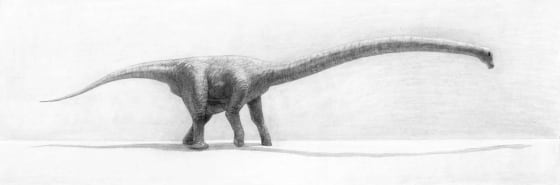 This artist's rendering shows Erketu ellisoni, the long-necked sauropod.