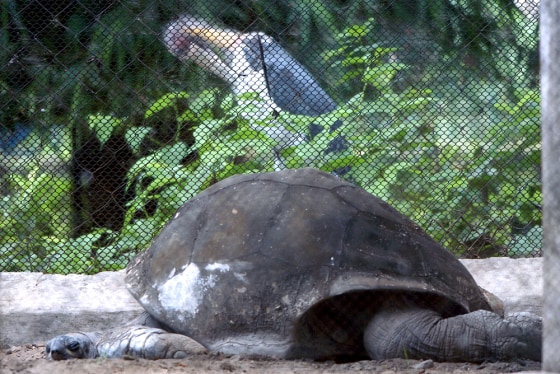 (FILES) File picture taken 25 April 2005