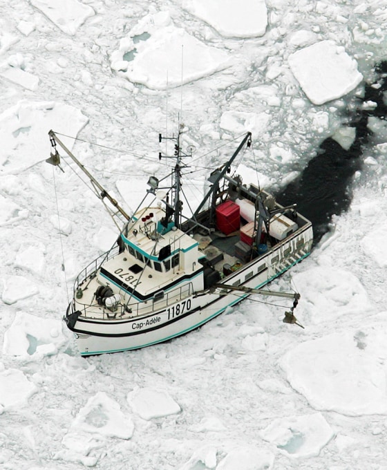 A fishing boat moves through ice floes in the Gulf of St. Lawrence