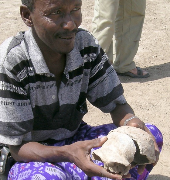 The "intermediate" hominid skull is held by Gona project member Asahmed Humet, who discovered the fossil on Feb. 16 near the Ethiopian city of Gawis.