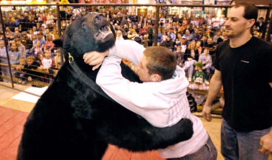 Lance Palmer wrestles 650-pound Ceaser Jr. during an exhibition wrestling match at a sportsmen's show at the I-X Center in Cleveland on March 18.