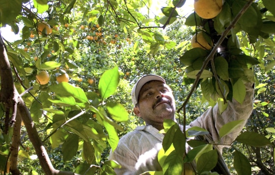 Migrants Continue To Work As Immigration Bill Is Debated In Congress