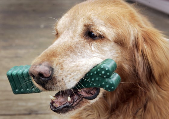 Mars to buy Greenies dog treat maker