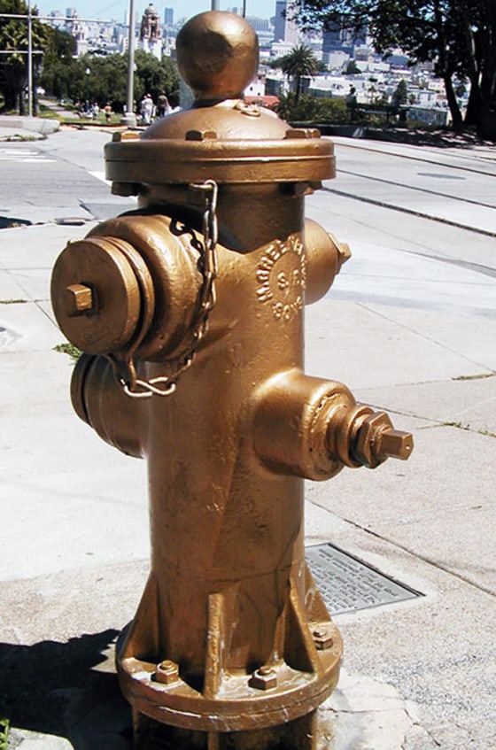 San Francisco repaints this golden fire hydrant every year on the anniversary of the 1906 earthquake. Legend has it that the hydrant, near Mission Dolores Park, miraculously delivered water when almost all others were useless, saving a large part of the city.