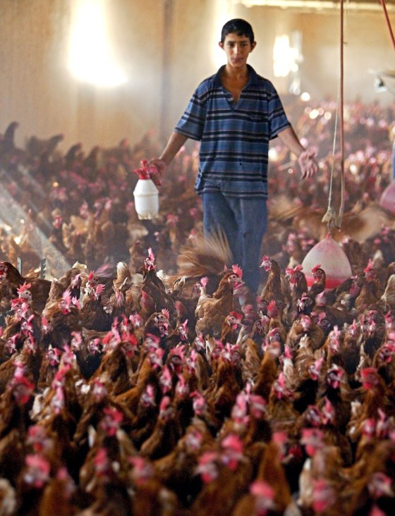 An Iraqi boy sprays disinfectant in a ch