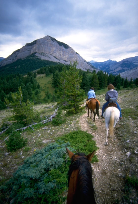 Horse Riders on Pine Butte Swamp Trail