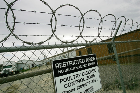 A barbed wire fence separates chicken egg-laying facilities at the J.S. West Milling Co. plant in Hilmar, Calif.