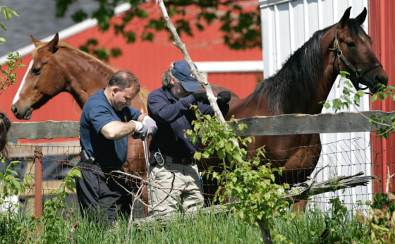 FBI investigators probe the ground near a barn at a horse farm in Milford Township, Mich., in hopes of finding traces of Teamsters boss Jimmy Hoffa.