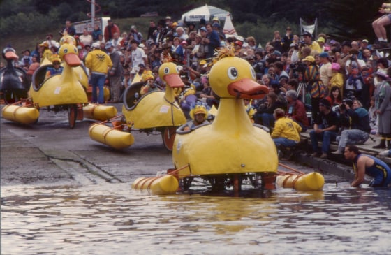 It's sink or swim time as giant rubber duckie sculptures plunge into California's Humboldt Bay as part of the Kinetic Sculpture Race, which follows a 38-mile course from Arcata to Ferndale over Memorial Day Weekend.