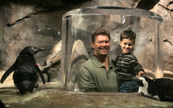 Man holds son at African Penguins exhibit at new Georgia aquarium in Atlanta