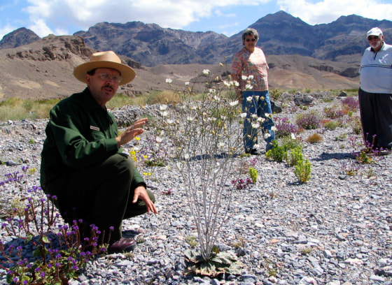 Alan Van Valkenberg, Heidi Koenig, Werner Koenig