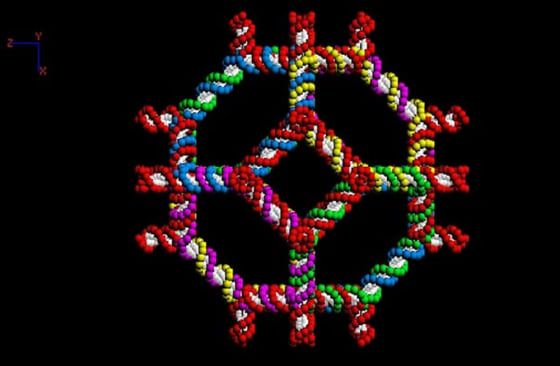Seeman and company designed this truncated octahedron from a kit of DNA stick figures.