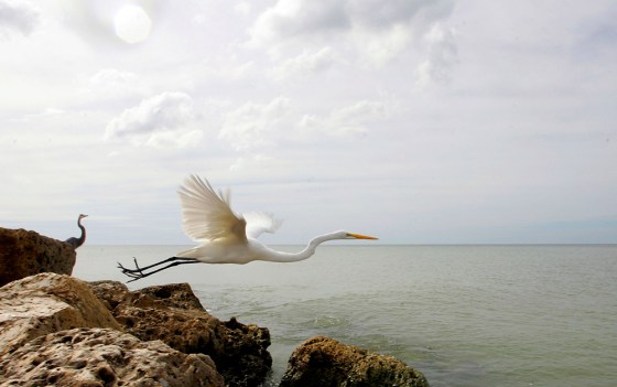 South Florida Prepares For Hurricane Wilma