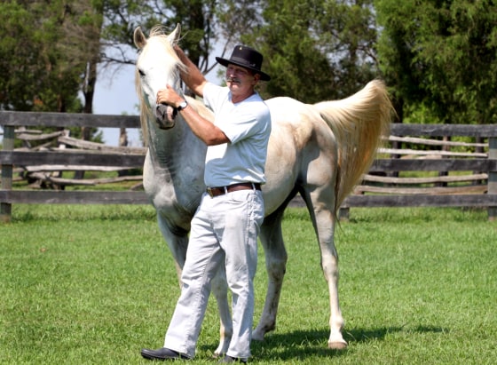 Civil War reenactor Bill Scott shows off some of his Civil War stuff at his home in Centreville, Va.. Here, he walks with Shadow, the horse he'll ride in the weekend's reenactment of the Battle of Bull Run.