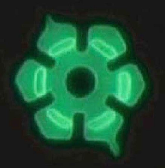 This fluorescent photomicrography shows a hexagon-shaped rotor that can be driven by bacteria.