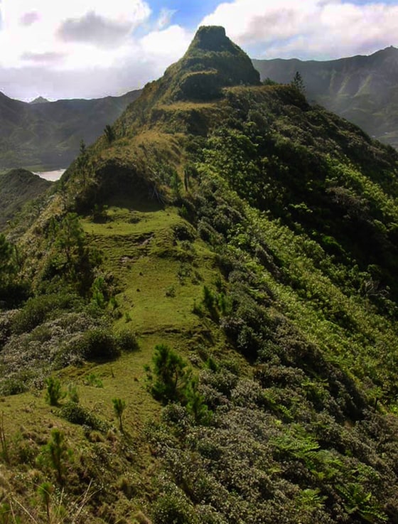Remains of a fortification rise from a hillside on Rapa Island. Settlers moved inland when dealings on the island turned violent. 