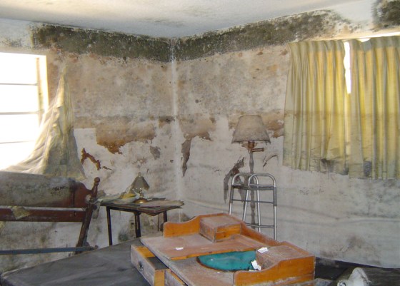 A mold-encrusted bedroom in James Stromberg's ruined house in New Orleans.