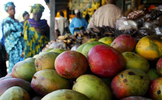 To match feature AFRICA INDIA