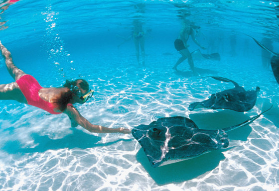 A woman reaches out to touch a stingray, while on an excursion from a cruise. 